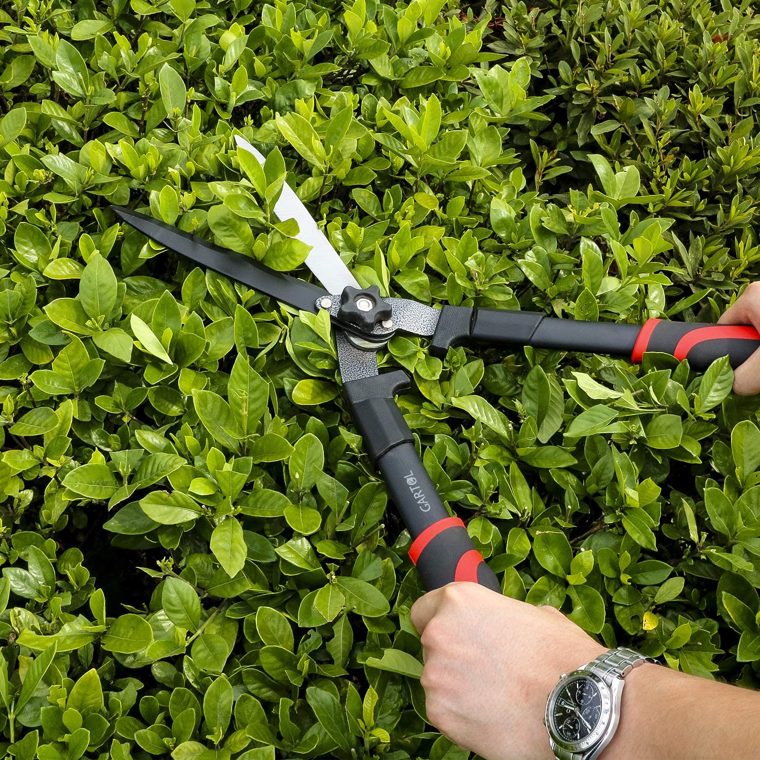 https://kiseree.com/wp-content/uploads/2016/04/garden-scissors-gartol-non-extendable-8.jpg